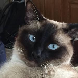 Meet your Posher, Michele